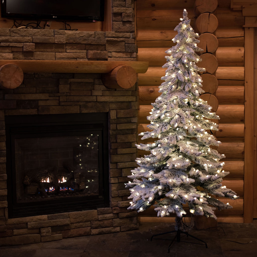 Vickerman 5' Flocked Spruce Artificial Christmas Tree, Warm White Single Mold LED Lights