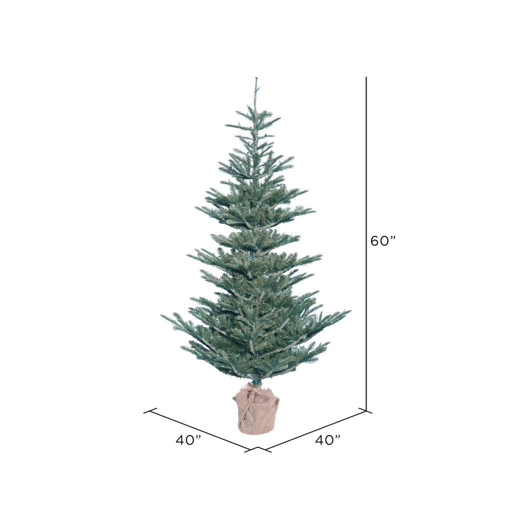 Vickerman 5' Alberta Blue Spruce Artificial Christmas Tree, Unlit