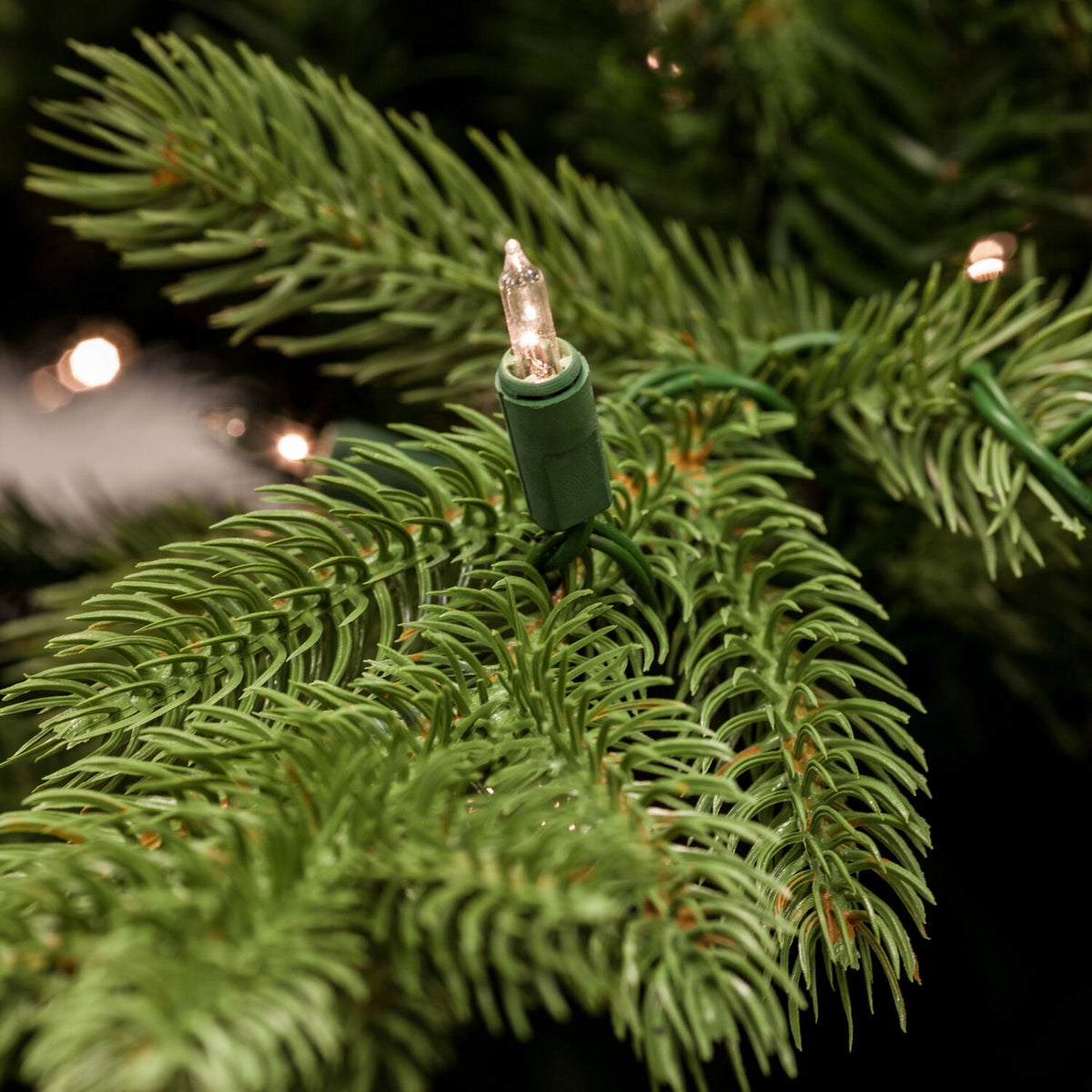 Fraser Hill Farm 6.5-Ft. Foxtail Pine Christmas Tree, FFFX065-0GR